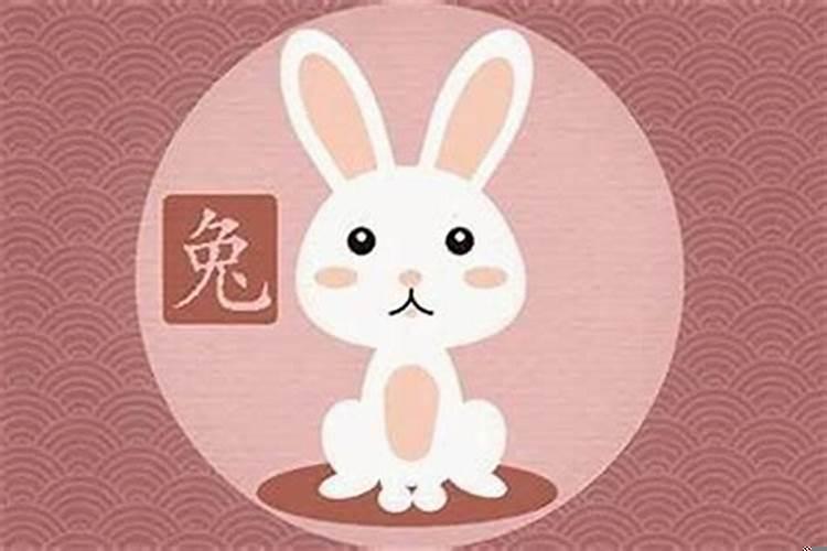 属兔的人和哪些属相合适