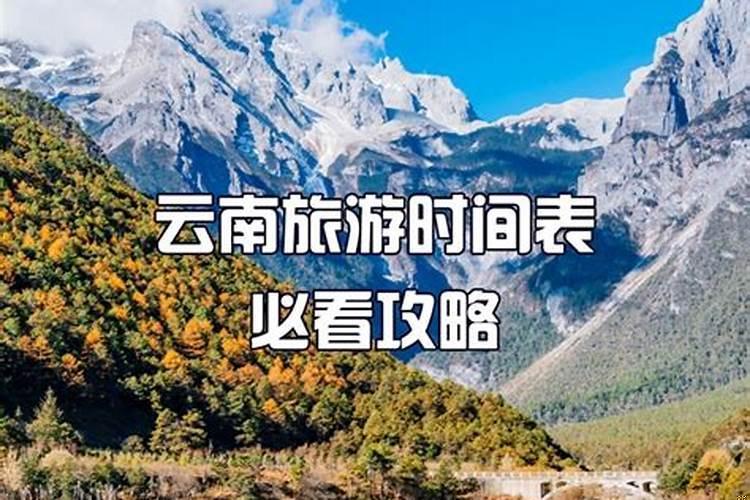 2025年元旦农历是几月几号