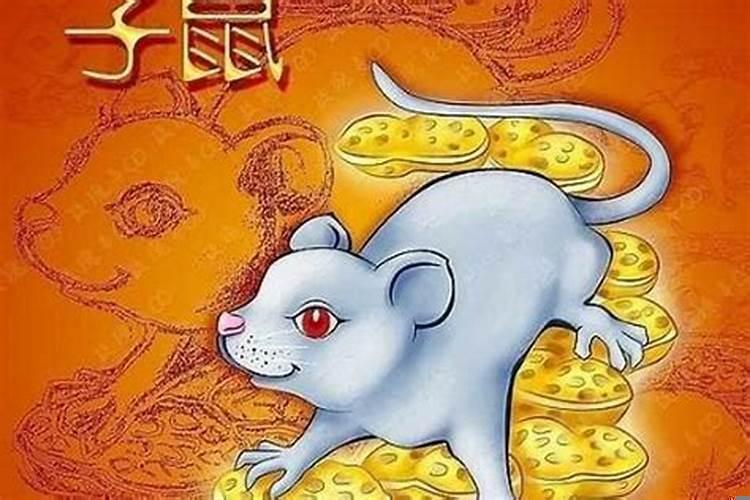 今年是什么的