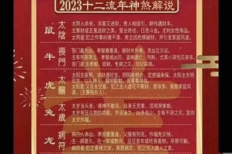 十二生肖最聪明的生肖属兔