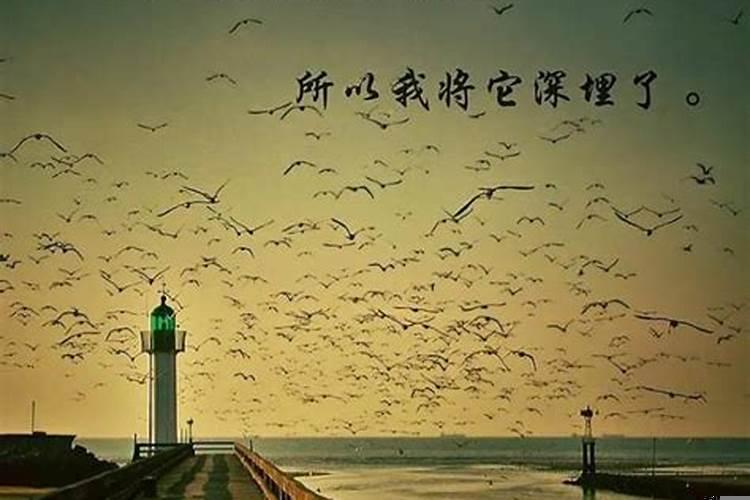 梦到心里的人