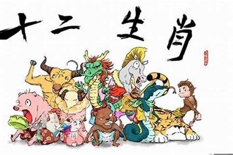最会做人的生肖女有哪些呢