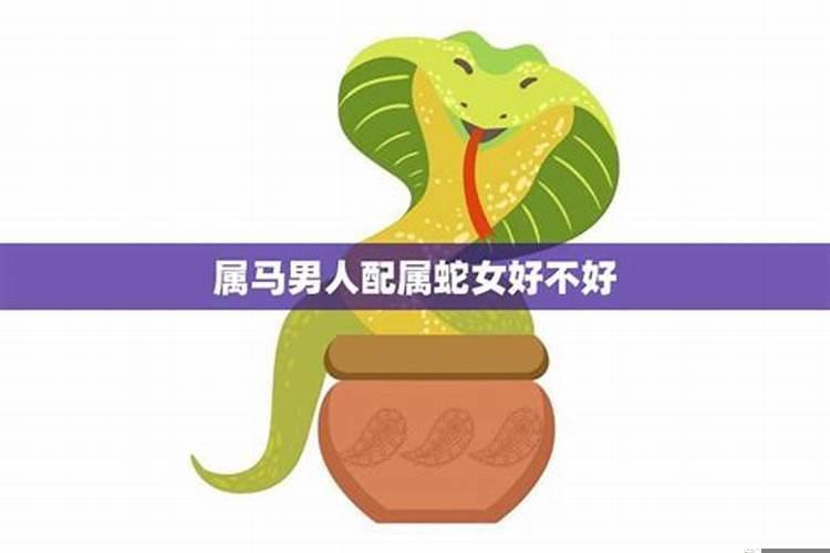 属蛇女和属马男生配吗