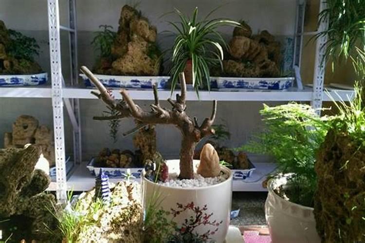 家里很乱越来越穷