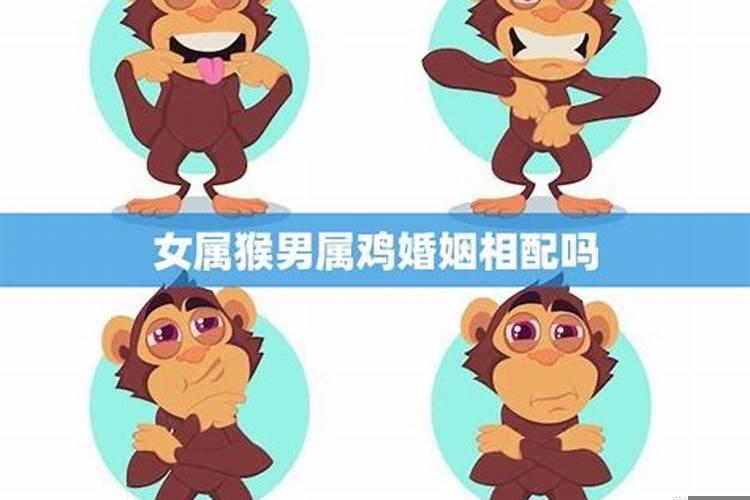 属猴男和属鸡女相配吗婚姻如何