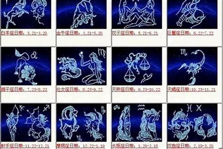 什么星座很直男
