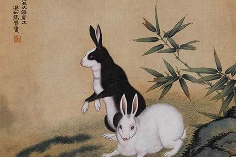 兔与马生肖婚姻相配