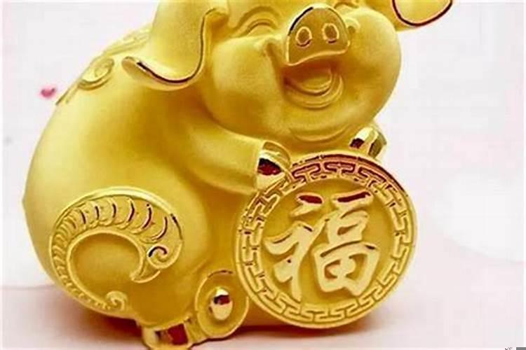 属猪的什么时间搬家好