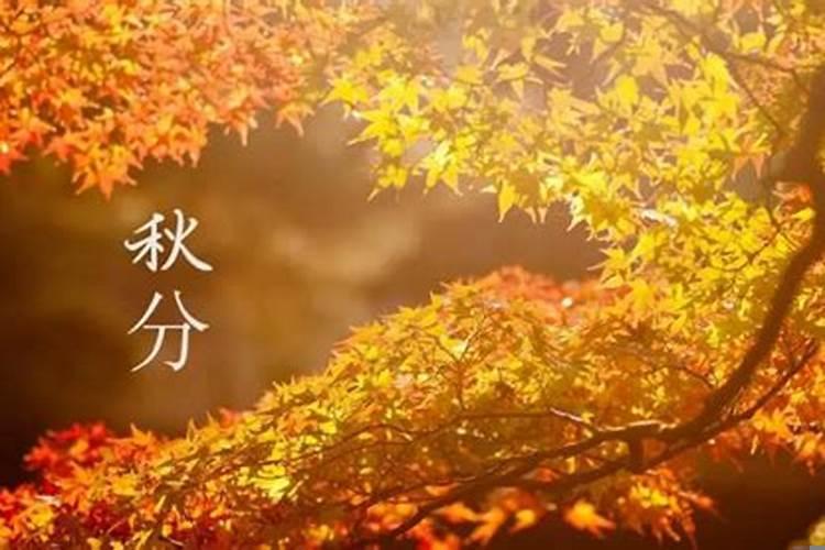 2025年秋分是哪天