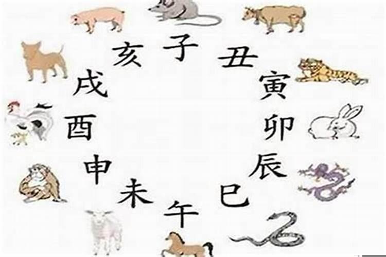 属猪和什么属相相克?