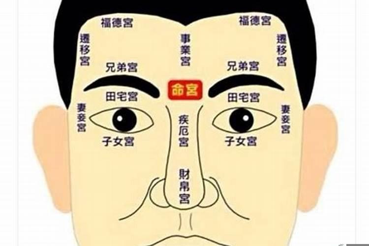 面相夫妻宫是哪里