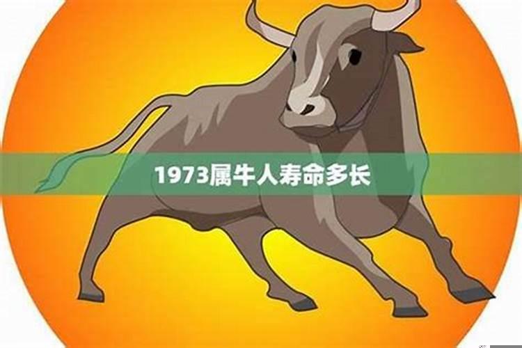 1973年属牛人今年运势如何