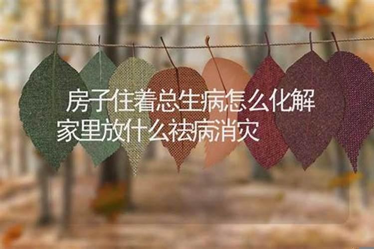 房屋后面怎么布置风水好