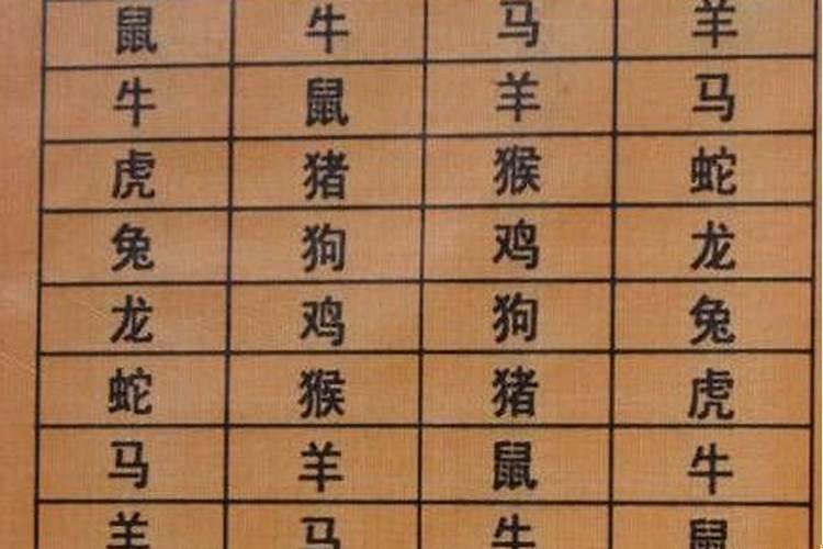 生肖不合的人能不能结婚