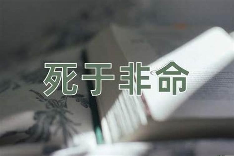 死于非命的意思解释