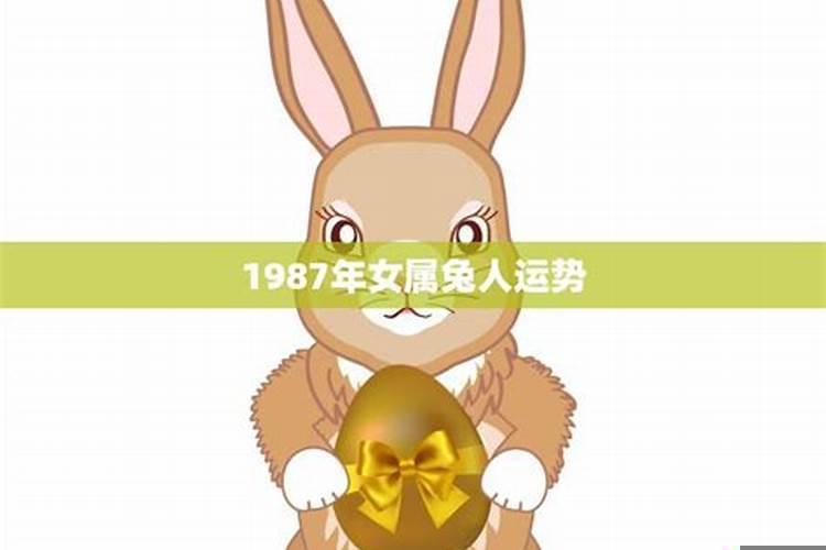 属兔的男人的事业和命运