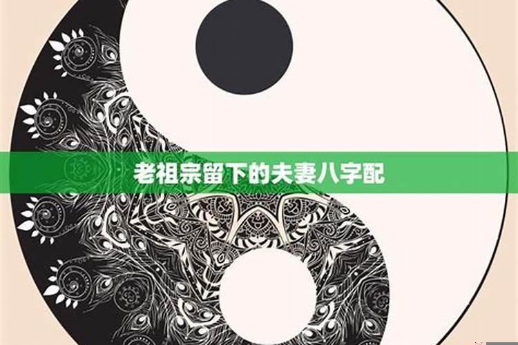 射手座配对双鱼座
