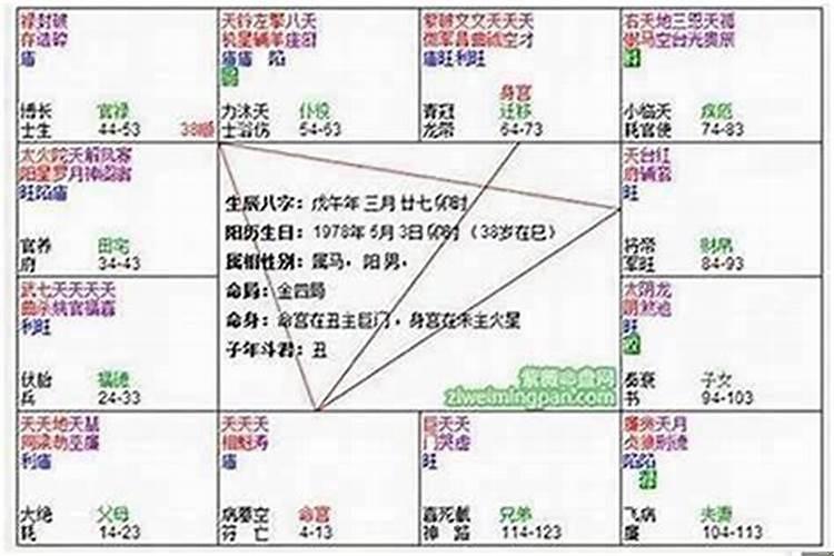 紫薇命盘解读