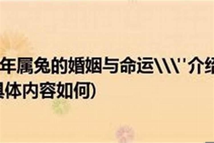 属兔的女人的命运