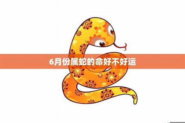 属蛇的女人命运好不好