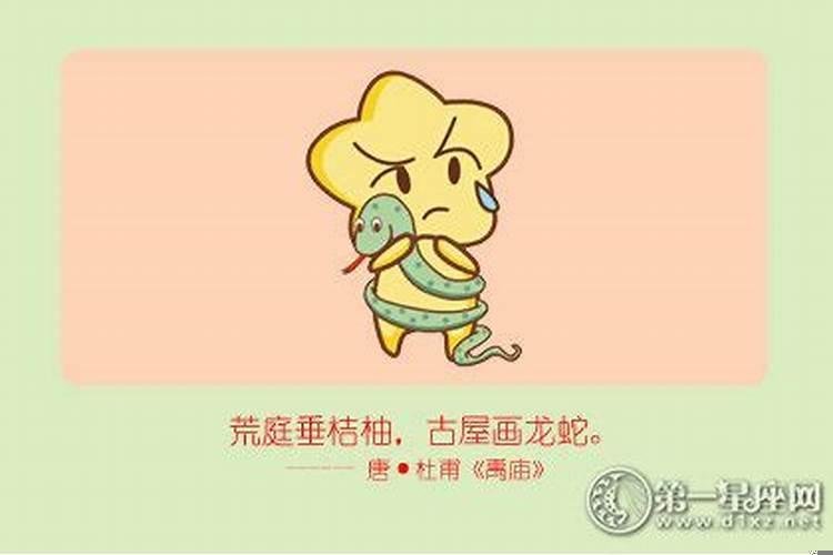 属蛇的女人命运好不好