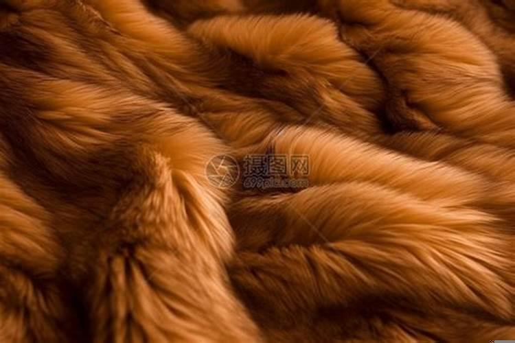 梦见买貂皮是什么意思