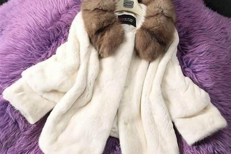 梦见买貂皮是什么意思