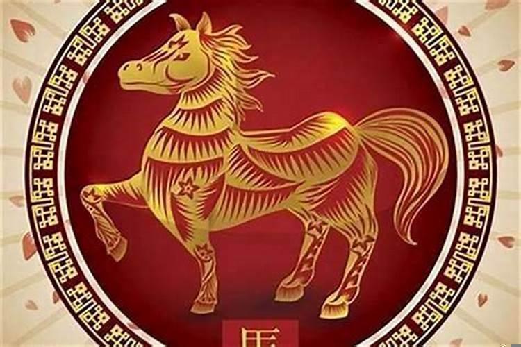 男属马与什么属相最配