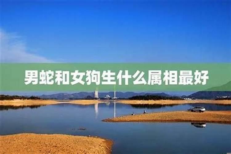 属蛇和属牛生什么属相孩子