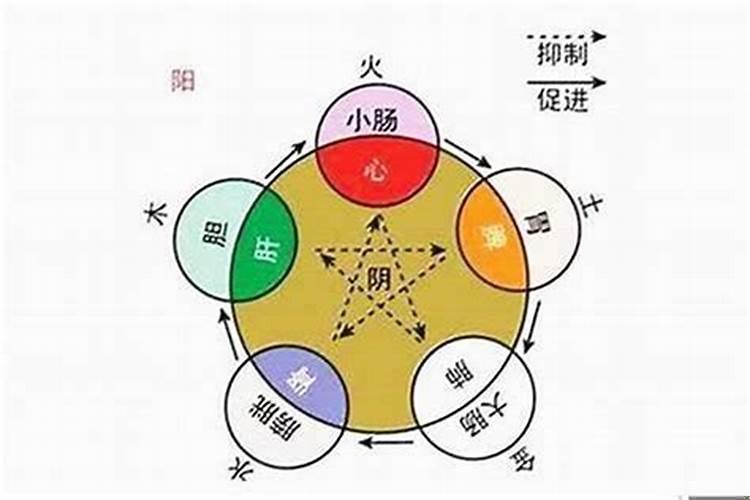 出生于1983年五行属什么属性