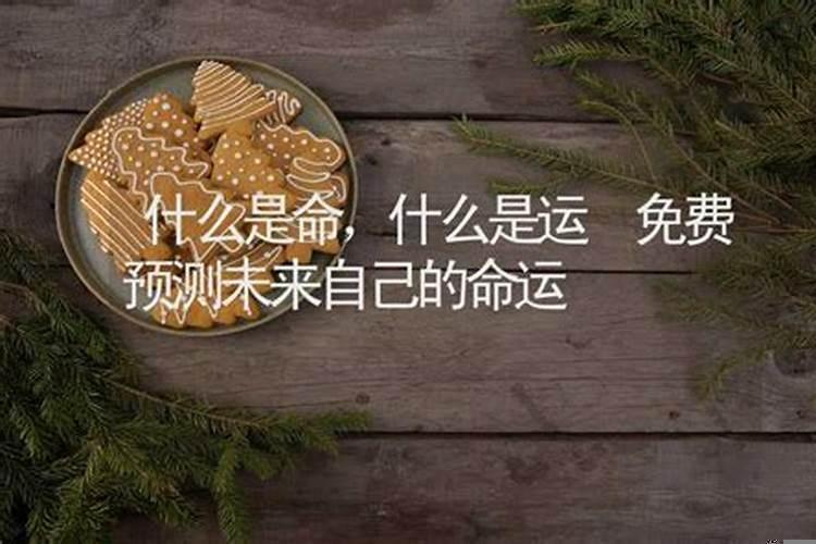 人生预测命运