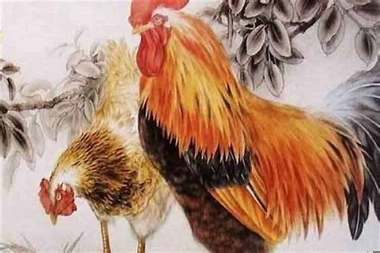 属鸡是哪一年出生的人