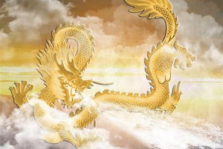 梦见家里有一条小龙