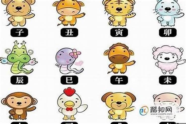 请问2025年是什么属相