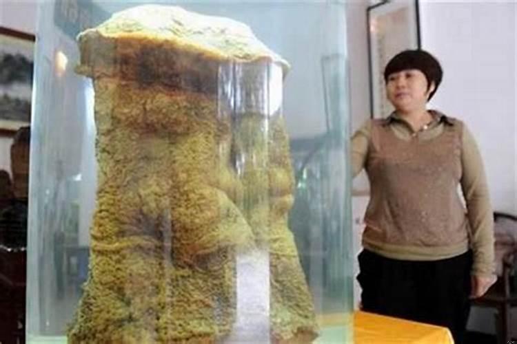 太岁是从哪里来的