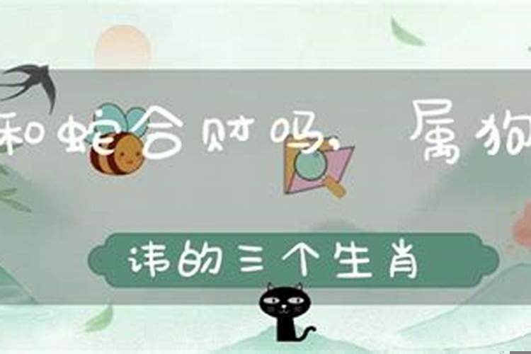 狗和蛇合不合财