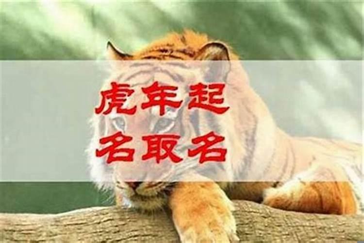 怎样给男虎宝宝起名字最好