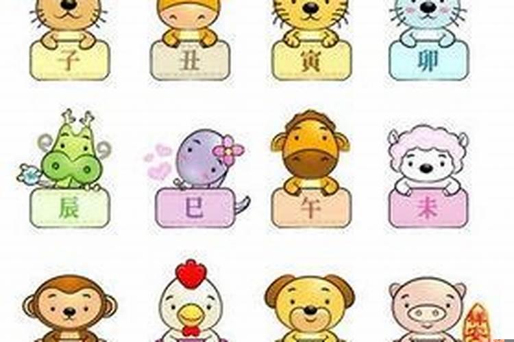 生孩子啥属相最好