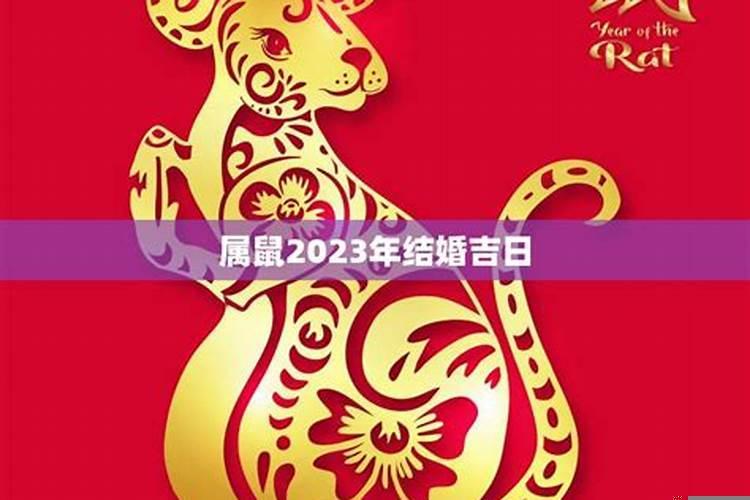 2025年属鼠结婚好不好