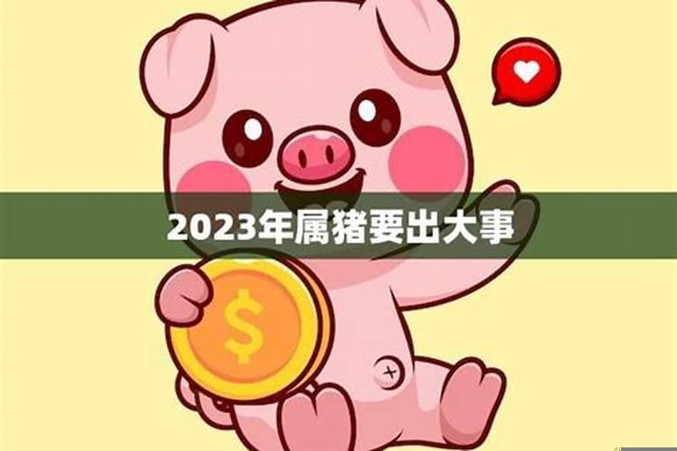 2025年属猪要出大事