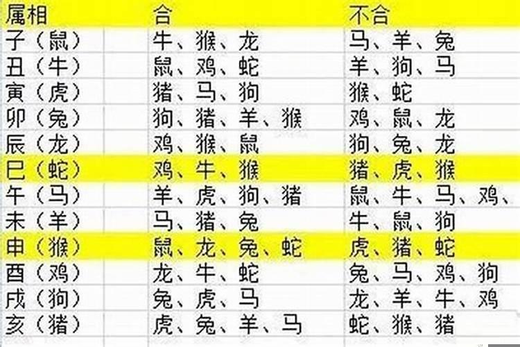 生孩子啥属相最好
