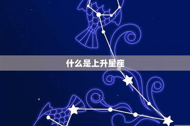 3月11双鱼座上升星座是什么