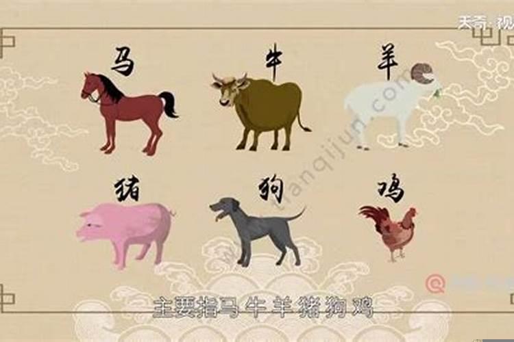六畜中最勤劳的生肖是哪个