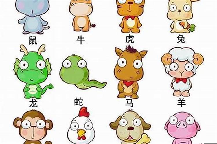 12生肖，哪些生肖人缘比较好呢