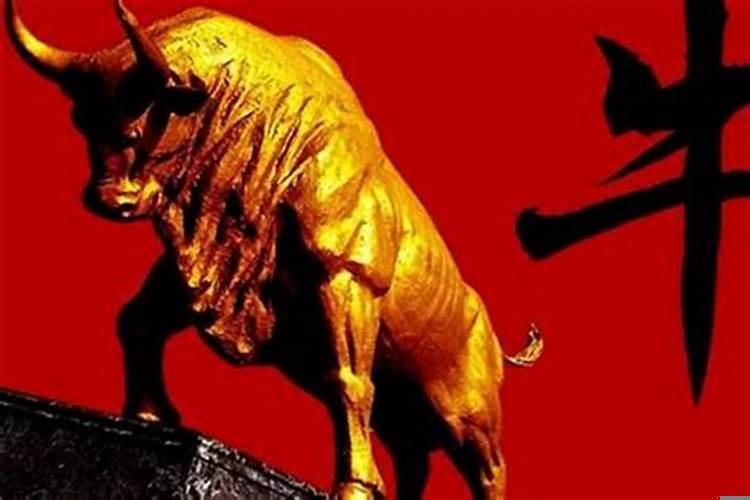 49岁的牛是什么命