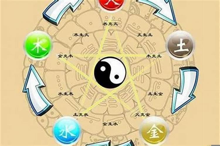 五行属木的适合什么工作