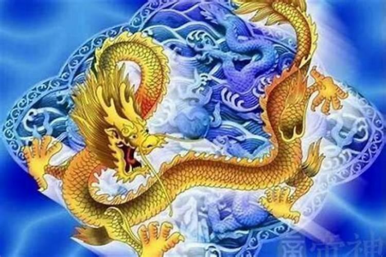 女属龙男属猪生什么宝宝好