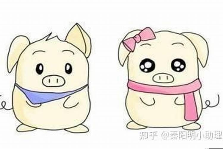 属猪选什么楼层风水好