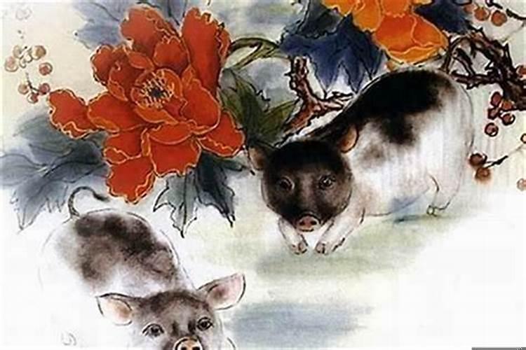 属猪选什么楼层风水好