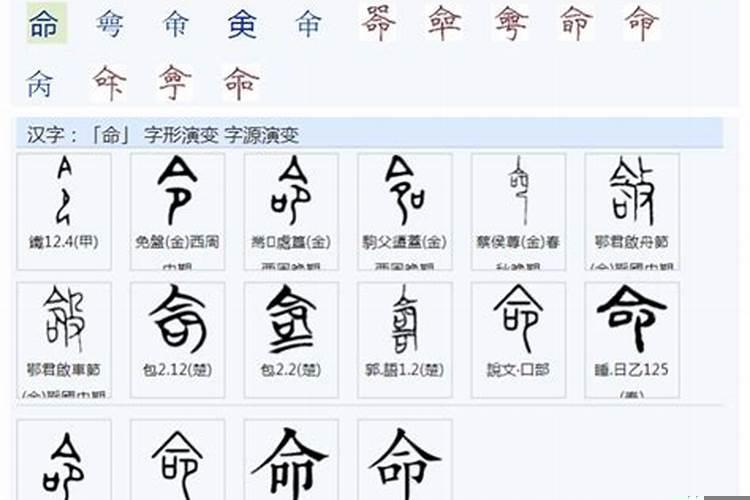 命大什么意思